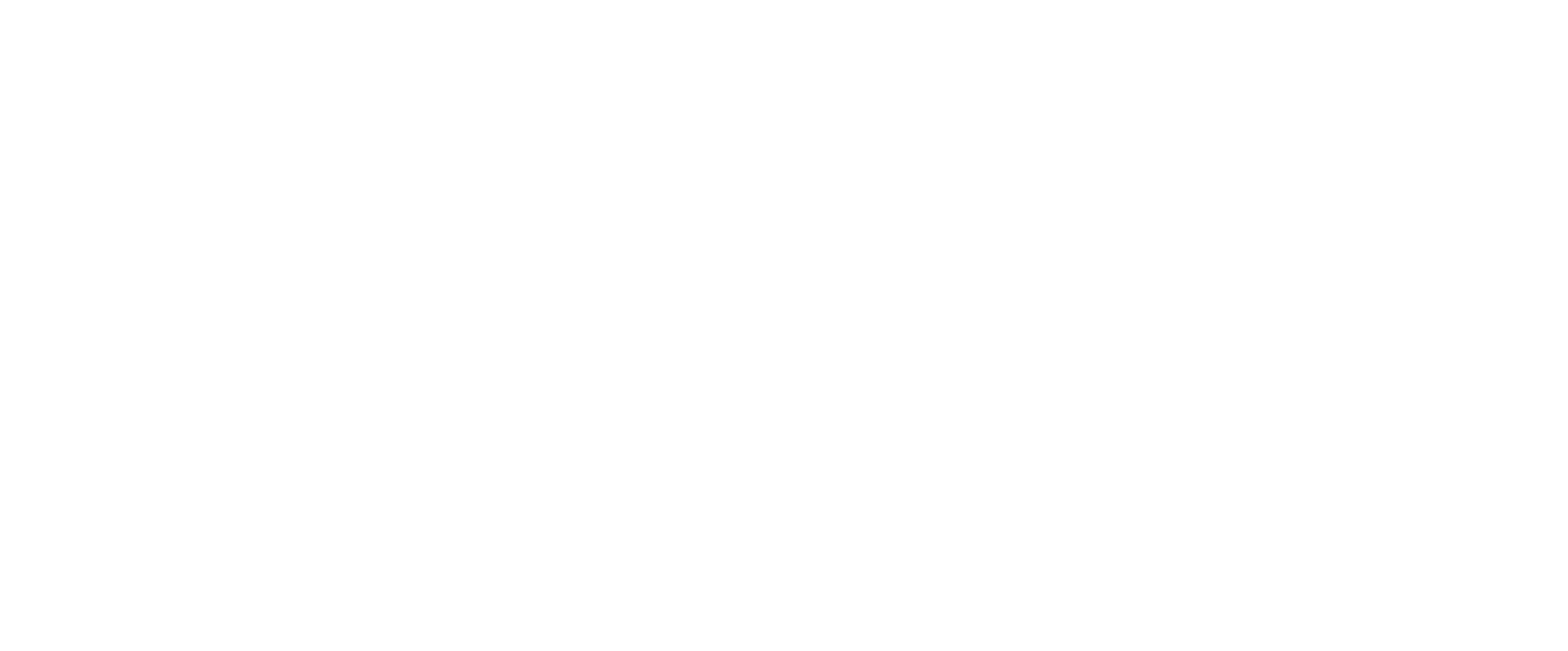 TBDM_Logo- XVM WIT